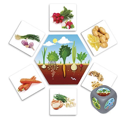 D'où viennent les aliments