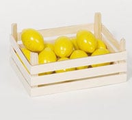 Set de 10 citrons