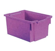 VIOLETA