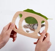 Ma première loupe