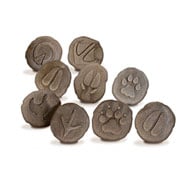Empreintes d'animaux de ferme