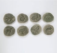 Empreintes d'animaux de la forêt
