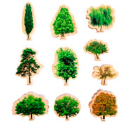 Bloques los árboles estaciones del año set de 10 piezas