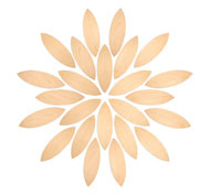 Plateforme Petal