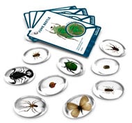 Pierres, espèces, insectes set de 9