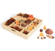 Kit STEAM Formes géométriques de la nature L'ensemble
