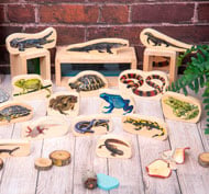 Les reptiles bloquent les animaux et les amphibiens set de 15