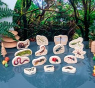 Animaux Petits blocs Animaux set de 15