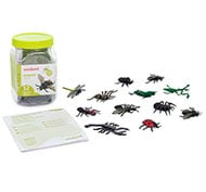 Les insectes lot de 12