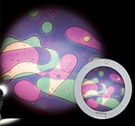 Disque de projecteur liquide violet/vert