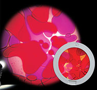 Disque de projecteur liquide violet/rouge